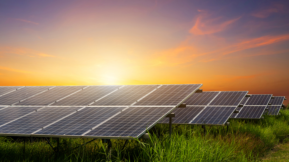 Commercio all'ingrosso